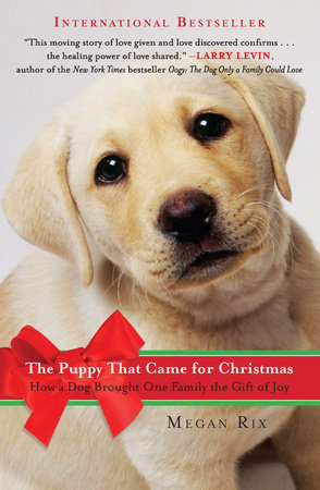 The Puppy That Came for Christmas by Megan Rix