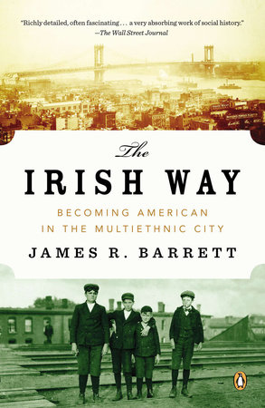 The Irish Way by James R. Barrett