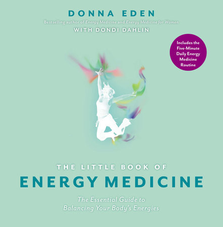 The Little Book Of Energy Medicine By Donna Eden Dondi Dahlin