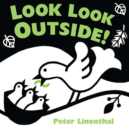 Look Look Outside by Peter Linenthal