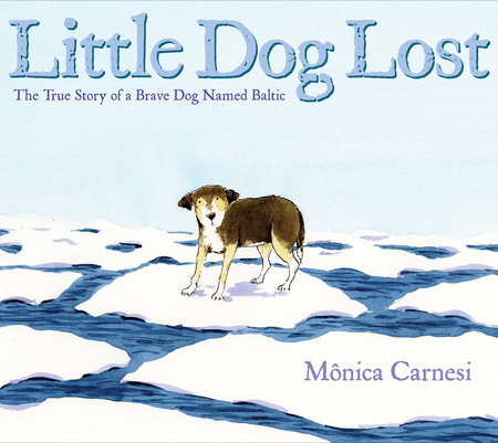 Little Dog Lost by Mônica Carnesi