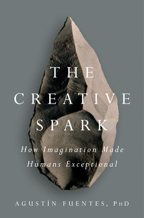 The Creative Spark by Agustín Fuentes