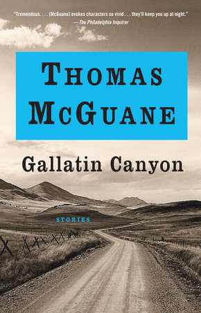 Gallatin Canyon by Thomas McGuane