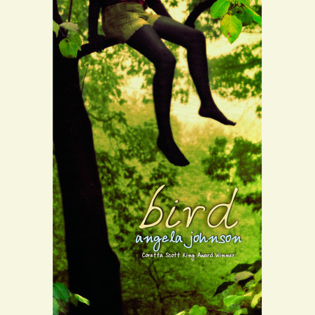 Bird by Angela Johnson