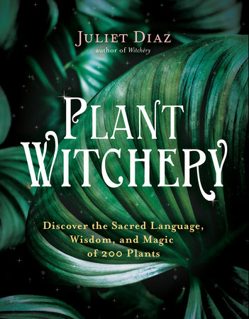 Plant Witchery by Juliet Diaz