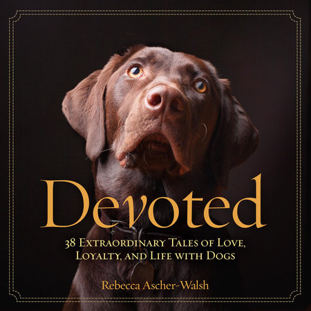 Devoted by Rebecca Ascher-Walsh