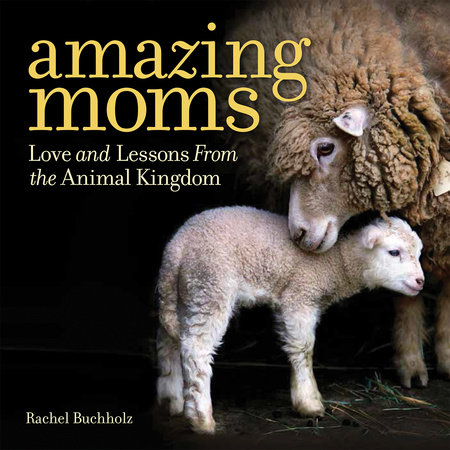 Amazing Moms by Rachel Buchholz