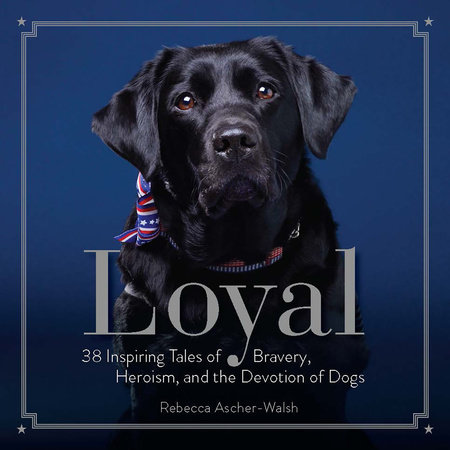 Loyal by Rebecca Ascher-Walsh