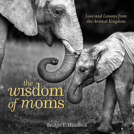 The Wisdom of Moms by Bridget Hamilton