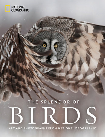 The Splendor of Birds by National Geographic