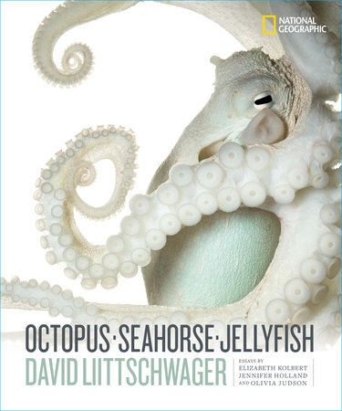Octopus, Seahorse, Jellyfish by David Liittschwager