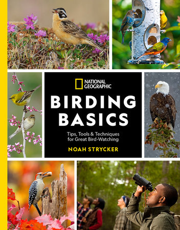 National Geographic Birding Basics by Noah Strycker