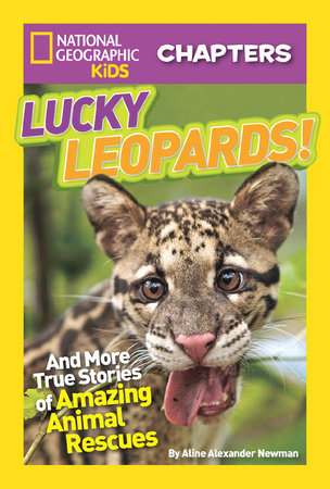 National Geographic Kids Chapters: Lucky Leopards by Aline