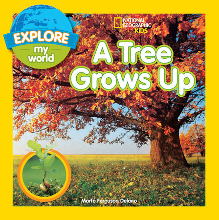 Explore My World: A Tree Grows Up by Marfe Ferguson Delano