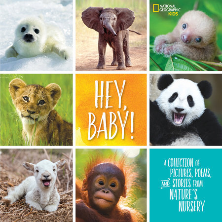 Hey, Baby! by Stephanie Warren Drimmer