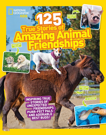 125 True Stories of Amazing Animal Friendships by Lisa M. Gerry