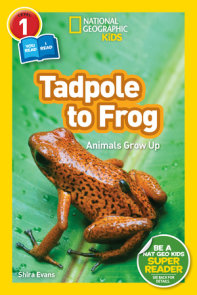 Tadpole to Frog (National Geographic Kids Readers, Level 1/Co-Reader)