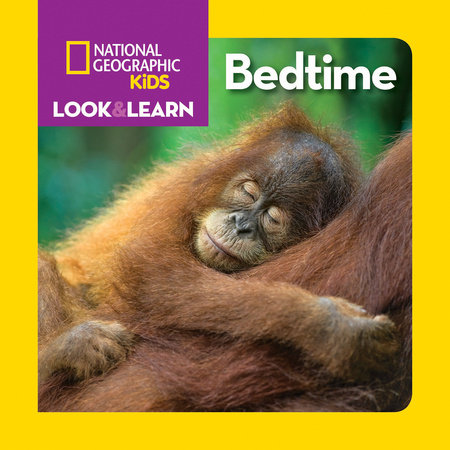 Look & Learn: Bedtime by Ruth A. Musgrave