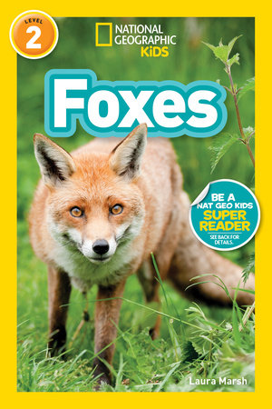 Foxes (National Geographic Kids Readers, Level 2) by Laura Marsh