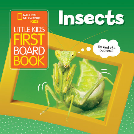 Little Kids First Board Book: Insects by Ruth A. Musgrave