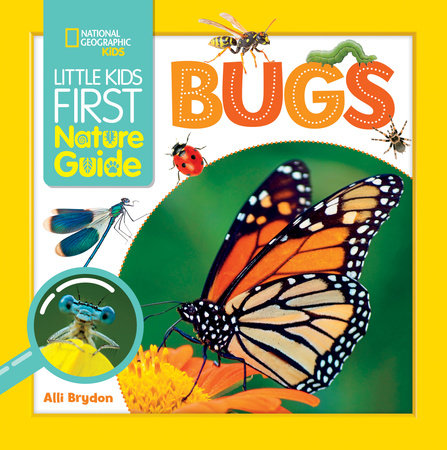 Little Kids First Nature Guide Bugs by Alli Brydon