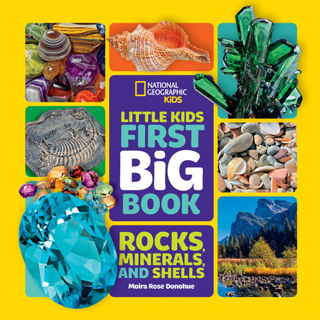 Little Kids First Big Book of Rocks, Minerals & Shells-Library edition by Moira Rose Donohue