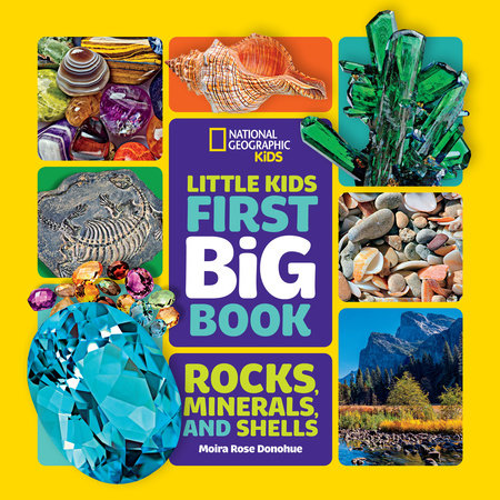 National Geographic Little Kids First Big Book of Rocks, Minerals & Shells by Moira Rose Donohue