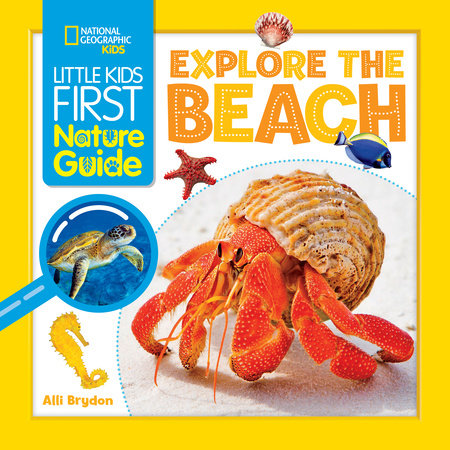 Little Kids First Nature Guide: Explore the Beach by Alli  Brydon