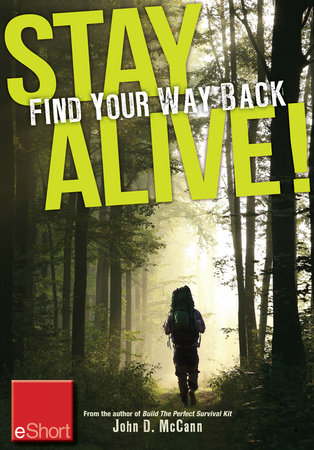 Stay Alive - Find Your Way Back eShort by John McCann