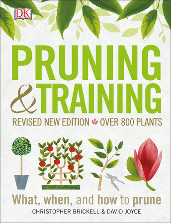 Pruning and Training, Revised New Edition by DK