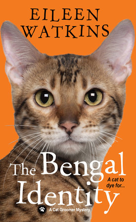 The Bengal Identity by Eileen Watkins