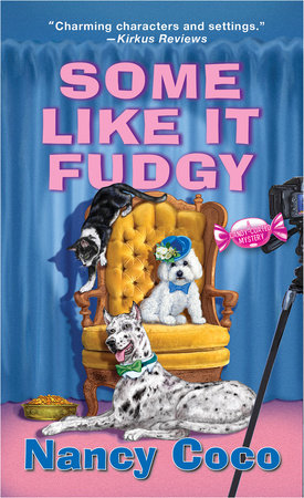 Some Like It Fudgy by Nancy Coco