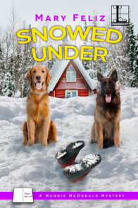 Snowed Under