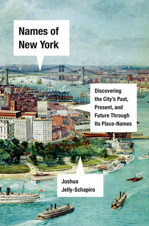 Names of New York Book Cover Picture