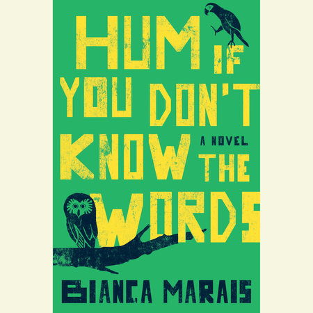 Hum If You Don't Know the Words by Bianca Marais