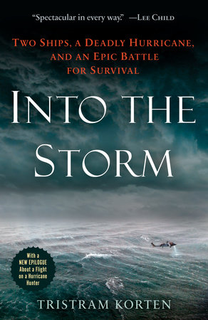 Into the Storm by Tristram Korten