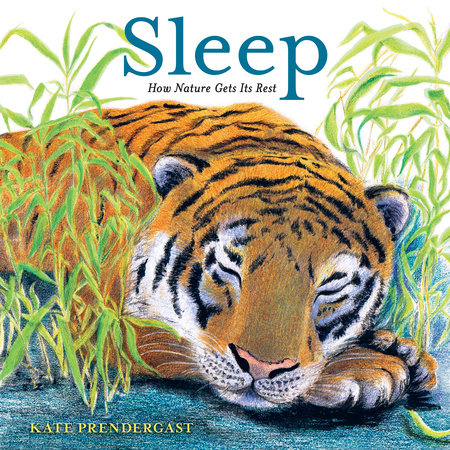 Sleep: How Nature Gets Its Rest by Kate Prendergast