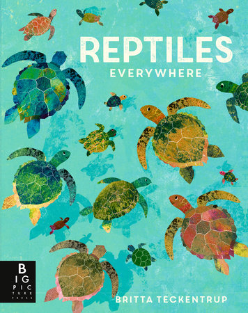 Reptiles Everywhere by Camilla de la Bedoyere
