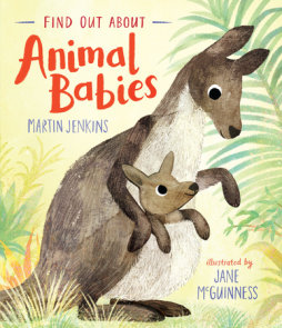Find Out About Animal Babies