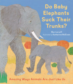 Do Baby Elephants Suck Their Trunks?