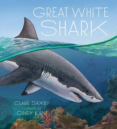 Great White Shark by Claire Saxby