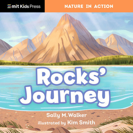 Rocks' Journey by Sally M. Walker