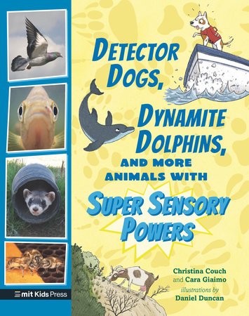 Detector Dogs, Dynamite Dolphins, and More Animals with Super Sensory Powers by Cara Giaimo and Christina Couch