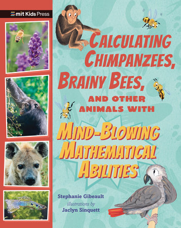 Calculating Chimpanzees, Brainy Bees, and Other Animals with Mind-Blowing Mathematical Abilities by Stephanie Gibeault; illustrated by Jaclyn Sinquett