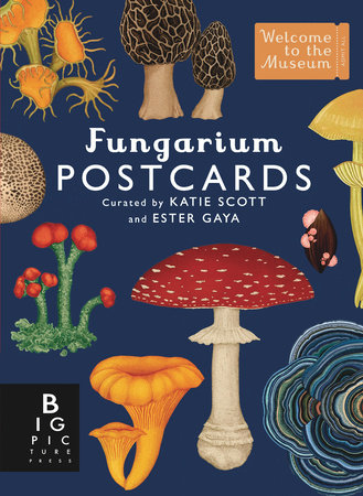 Fungarium Postcard Box Set by Gaya Ester