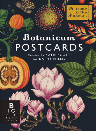 Botanicum Postcard Box Set by Kathy Willis