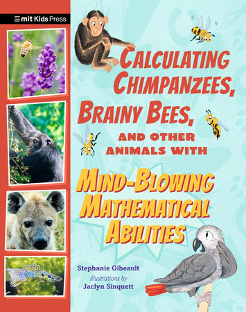 Calculating Chimpanzees, Brainy Bees, and Other Animals with Mind-Blowing Mathematical Abilities by Stephanie Gibeault; illustrated by Jaclyn Sinquett