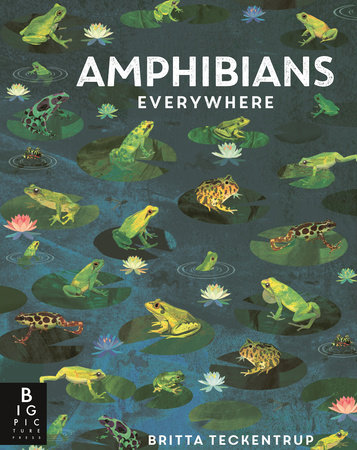 Amphibians Everywhere by Camilla de la Bedoyere