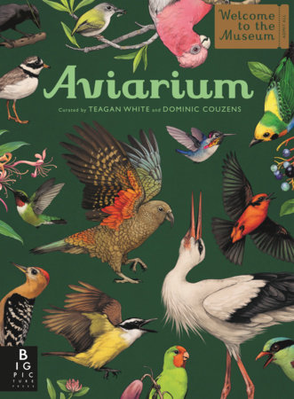 Aviarium by Dominic Couzens; Illustrated by Teagan White