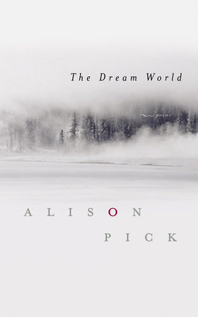 The Dream World by Alison Pick